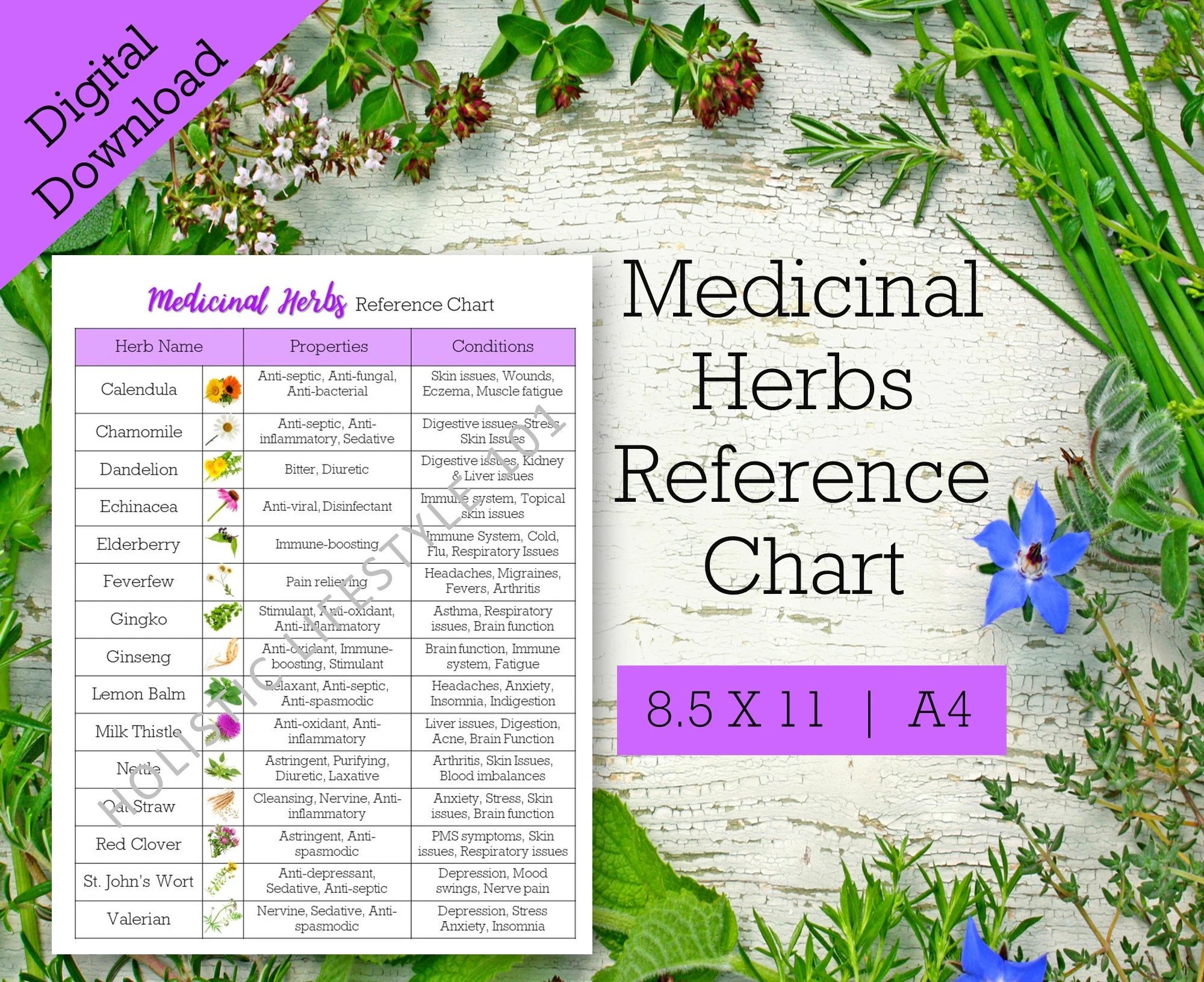 Medicinal Herbs Reference Chart List Of Herbs Printable Herbal Printable Herb Chart Common Herbs Reference Sheet Herbalism Printable Etsy Medicinal Herbs Reference Chart List Of Herbs Printable Herbal Printable Herb Chart Common Herbs Reference Sheet Herbalism Printable Etsy