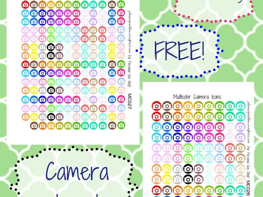 Multicolor Camera Icons Free Printable Planner Stickers
