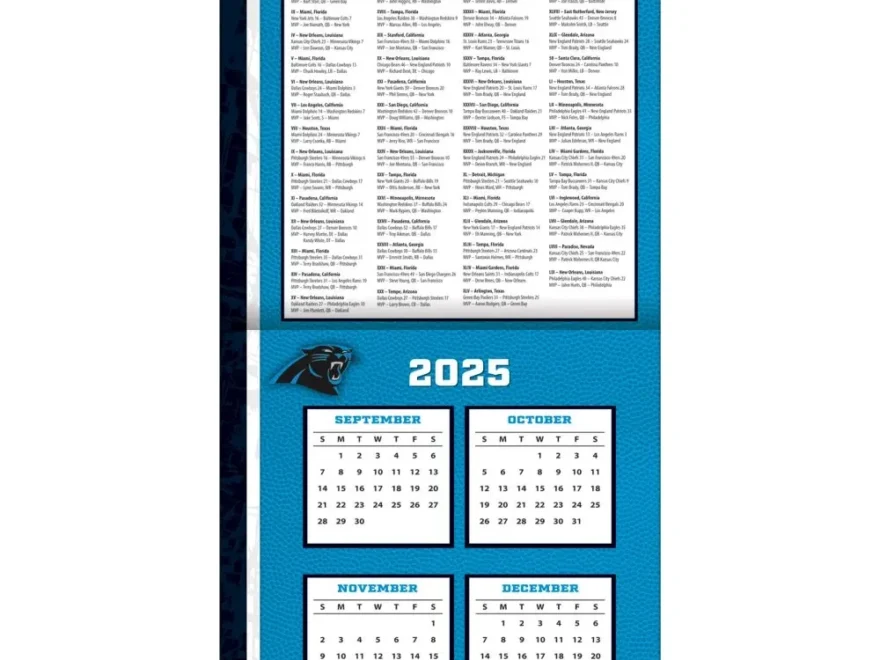 NFL Carolina Panthers 2026 Wall Calendar Calendars
