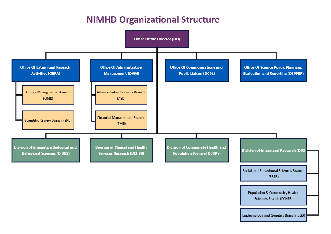 Nih Org Chart EdrawMax Template