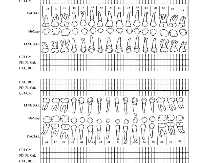 Perio Chart Form Fill Out Printable PDF Forms Online