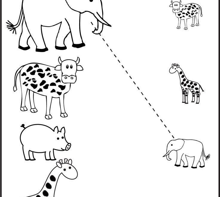 Preschool Worksheets FREE Printable Worksheets