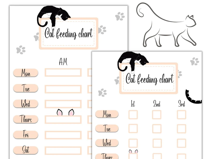 Printable Cat Feeding Chart Etsy