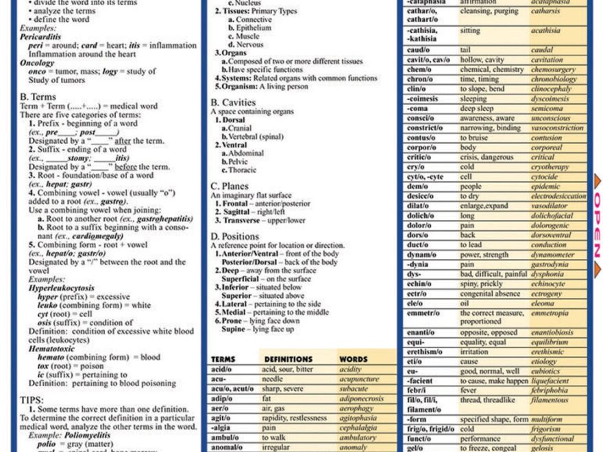QuickStudy Medical Terminology The Basics Laminated Study Guide