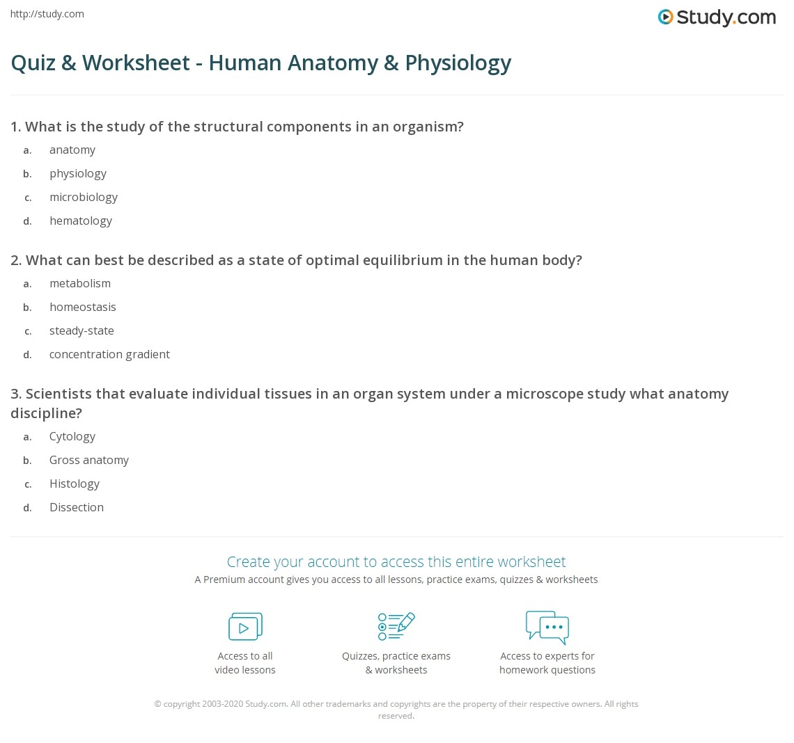 Printable Anatomy And Physiology Quiz Printable Anatomy And Physiology Quiz
