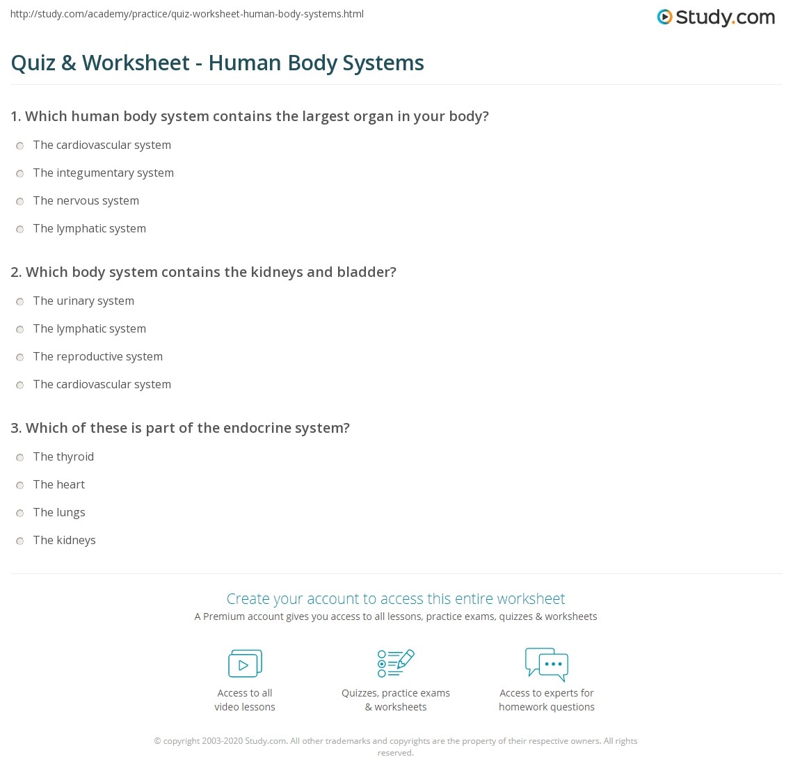 Printable Body System Quiz Printable Body System Quiz