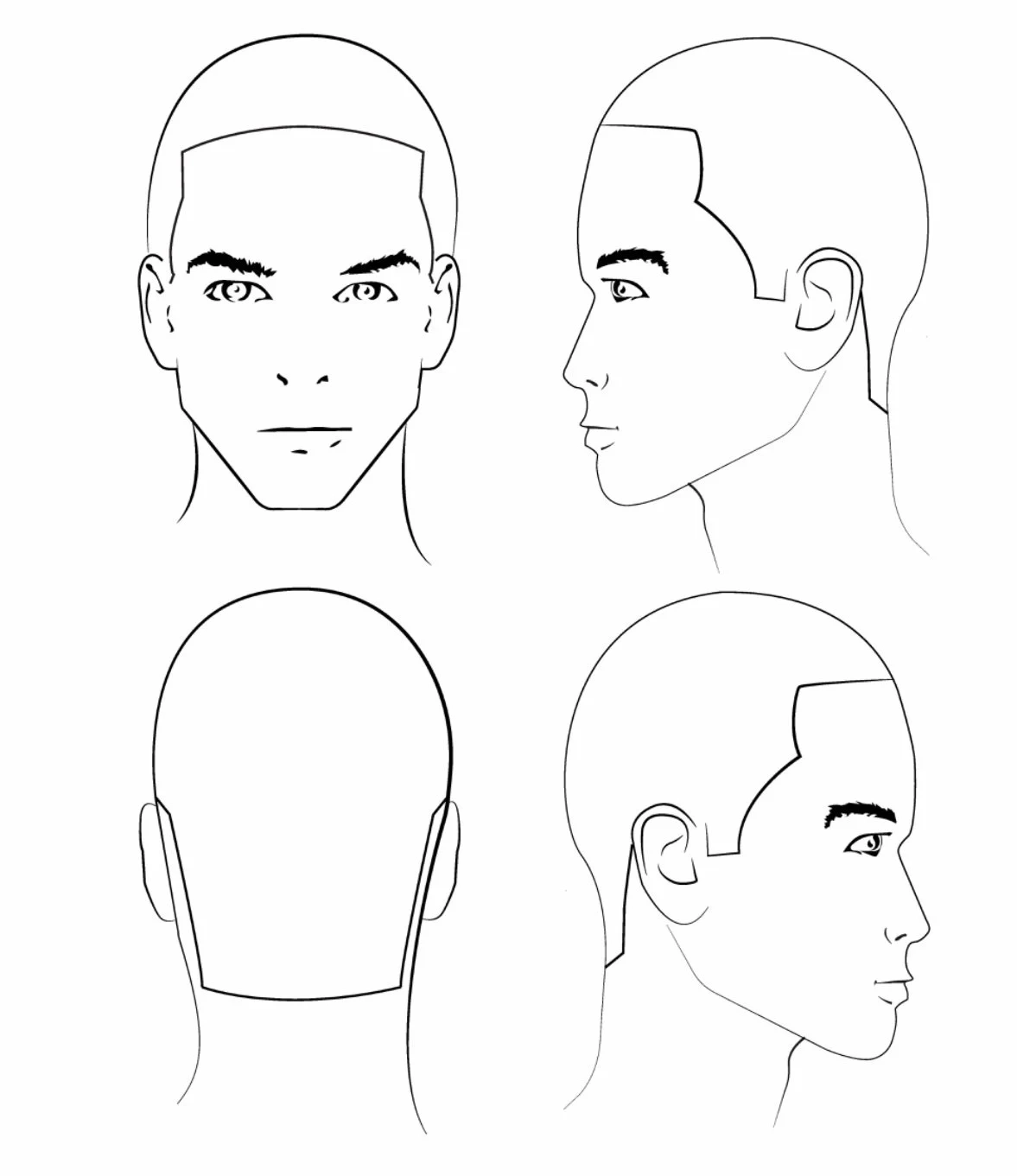 Printable Head Sheets For Haircutting Printable Head Sheets For Haircutting