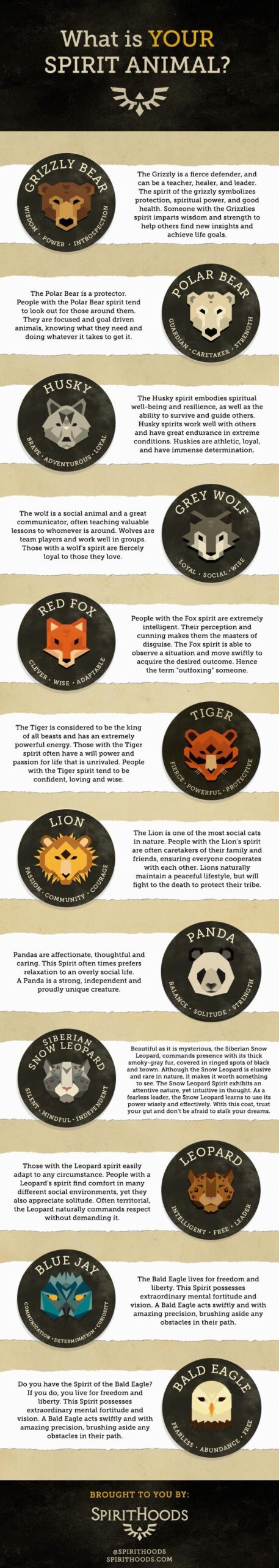 Spirit Animal Quiz To Find Out What Is My Spirit Animal 