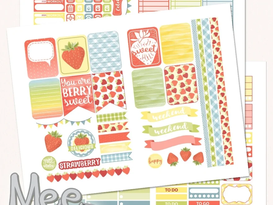 Strawberry Planner Stickers Weekly Kit For Erin Condren