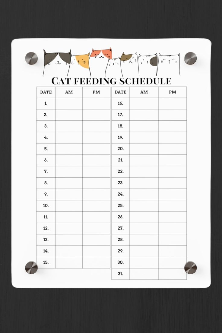 Streamline Your Cat s Meals Reusable Acrylic Feeding Chart For 
