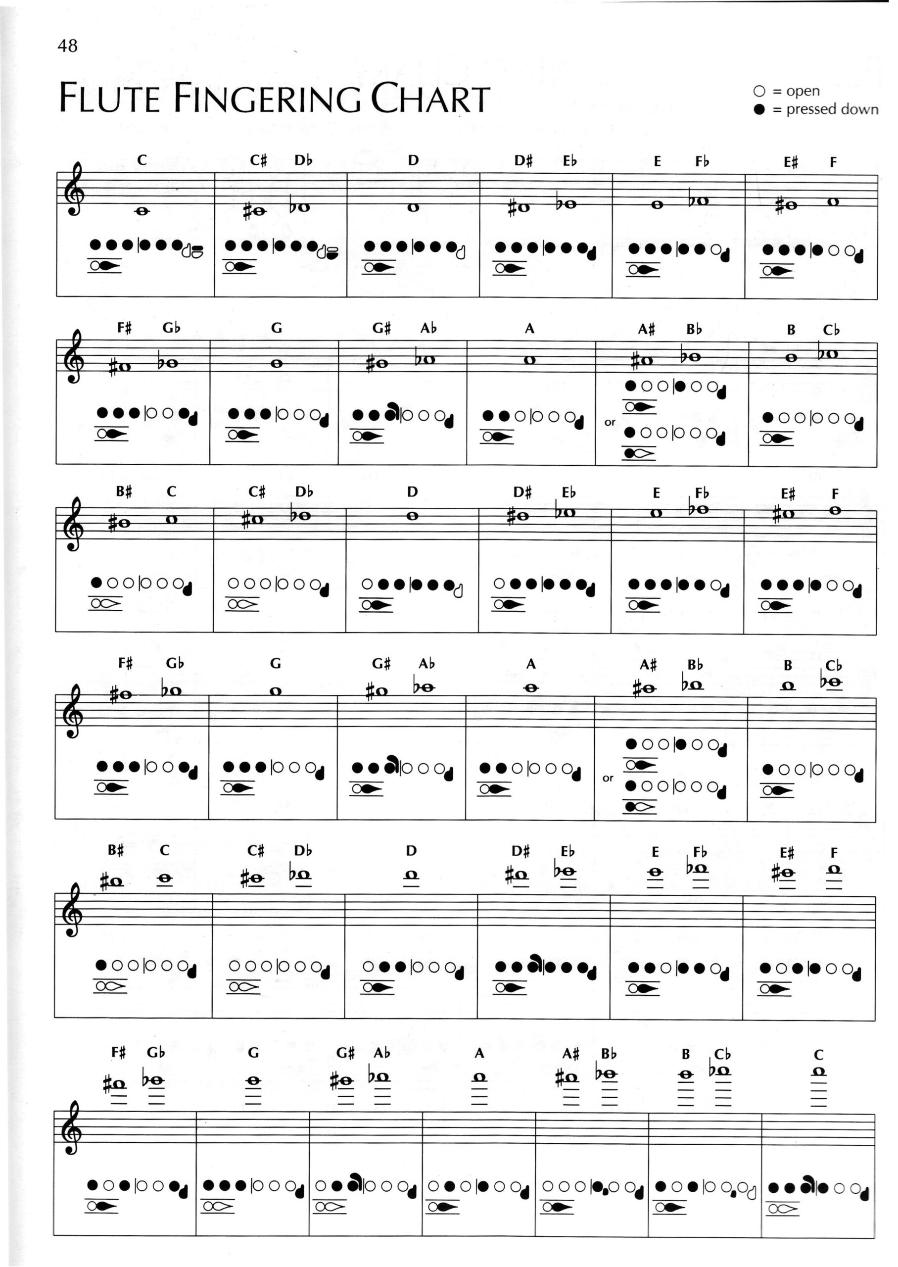 Student Resources CAREER ACADEMY INSTRUMENTAL MUSIC DEPARTMENT Student Resources CAREER ACADEMY INSTRUMENTAL MUSIC DEPARTMENT