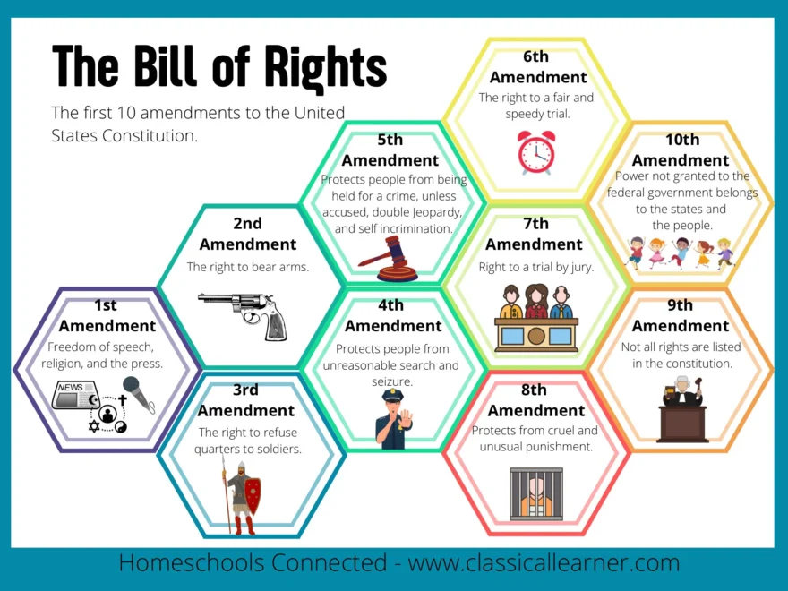 The Bill Of Rights Cheat Sheet Etsy