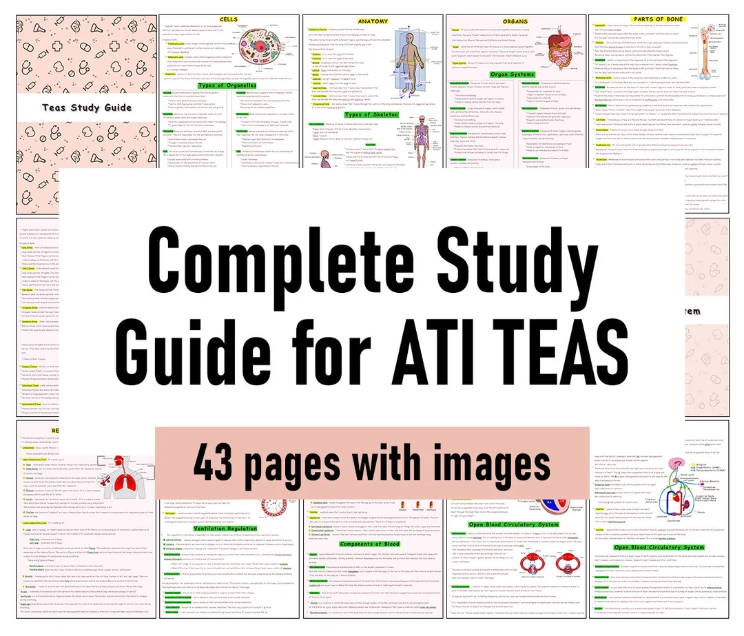 Printable Teas Study Guide