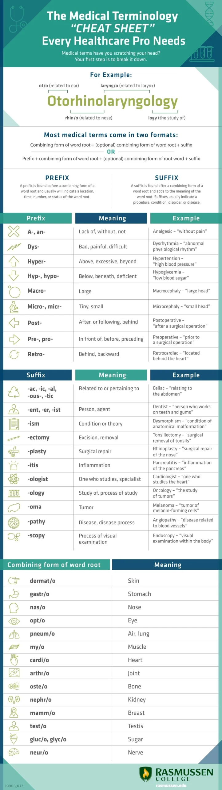 The Medical Terminology cheat Sheet Every Healthcare Pro Needs The Medical Terminology cheat Sheet Every Healthcare Pro Needs