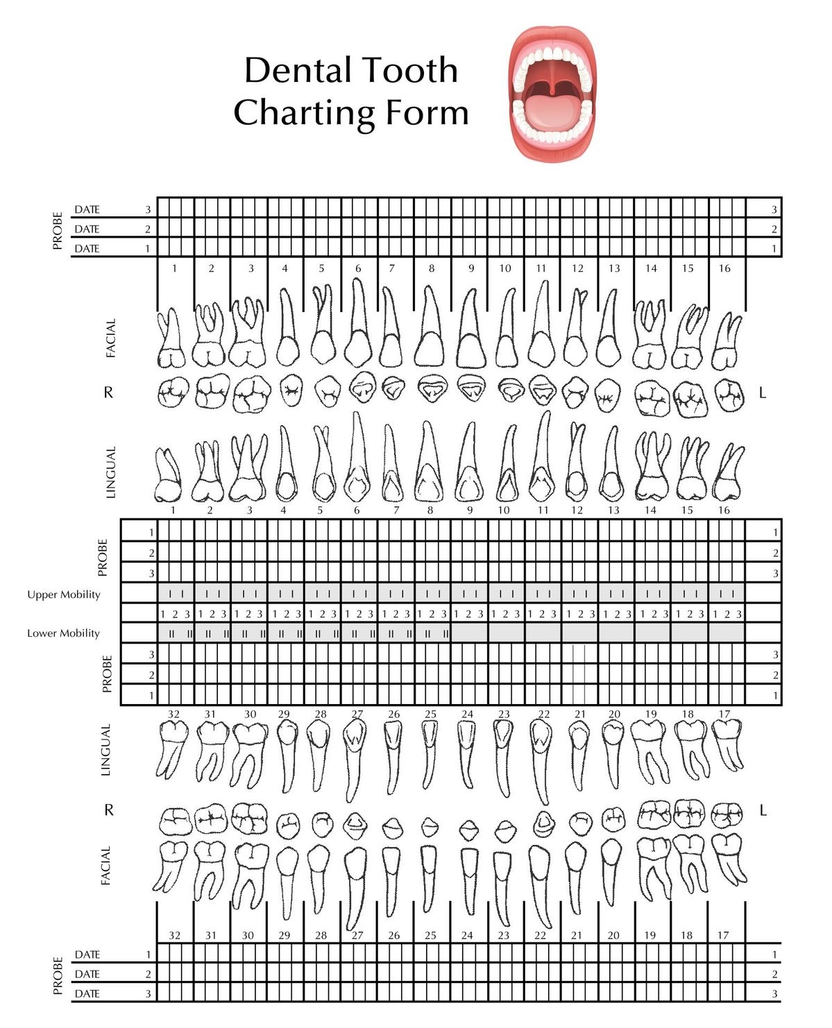 Perio Charting Form Printable Perio Charting Form Printable