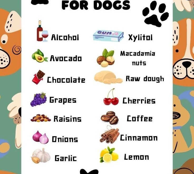 Toxic Foods For Dogs Printable