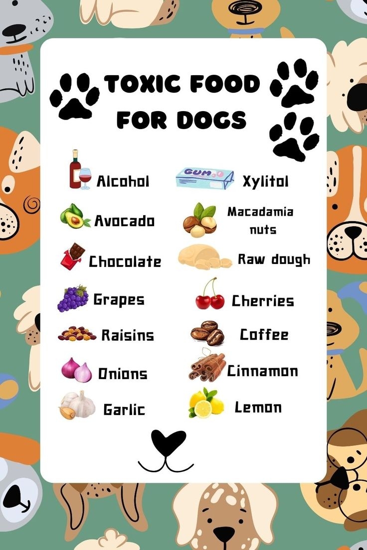 Toxic Foods For Dogs Printable Toxic Foods For Dogs Printable