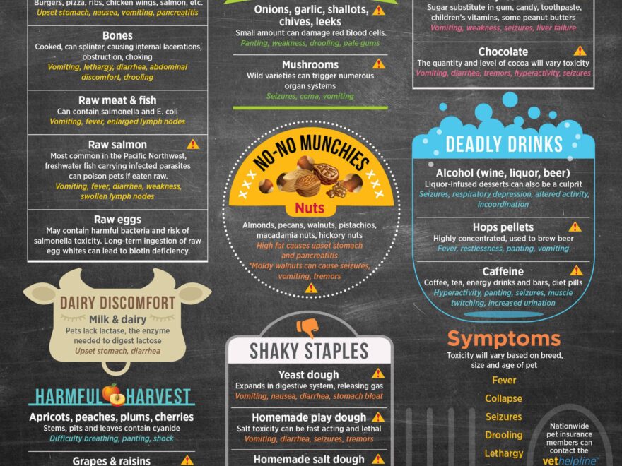 Toxic Hazardous Food Guide For Pets Dog Cat Health Safety