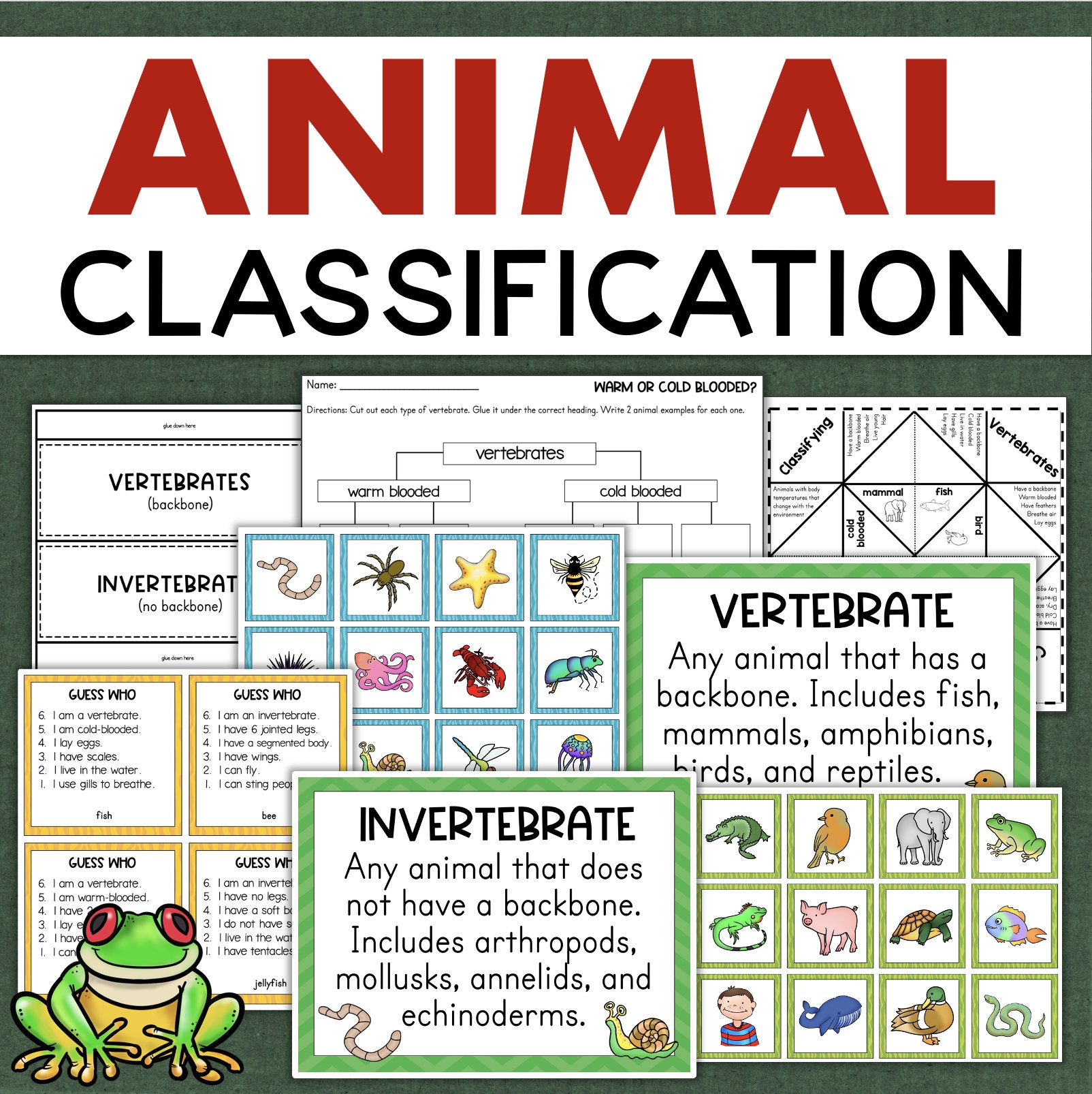 Vertebrates And Invertebrates Animal Classification Science Vertebrates And Invertebrates Animal Classification Science