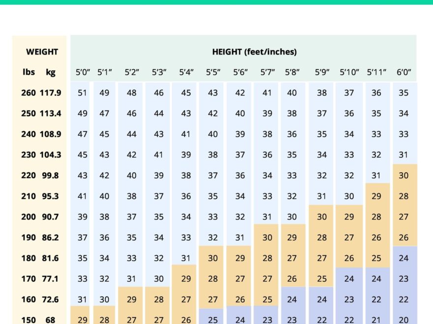 Weight Loss BMI Chart In PDF Download Template