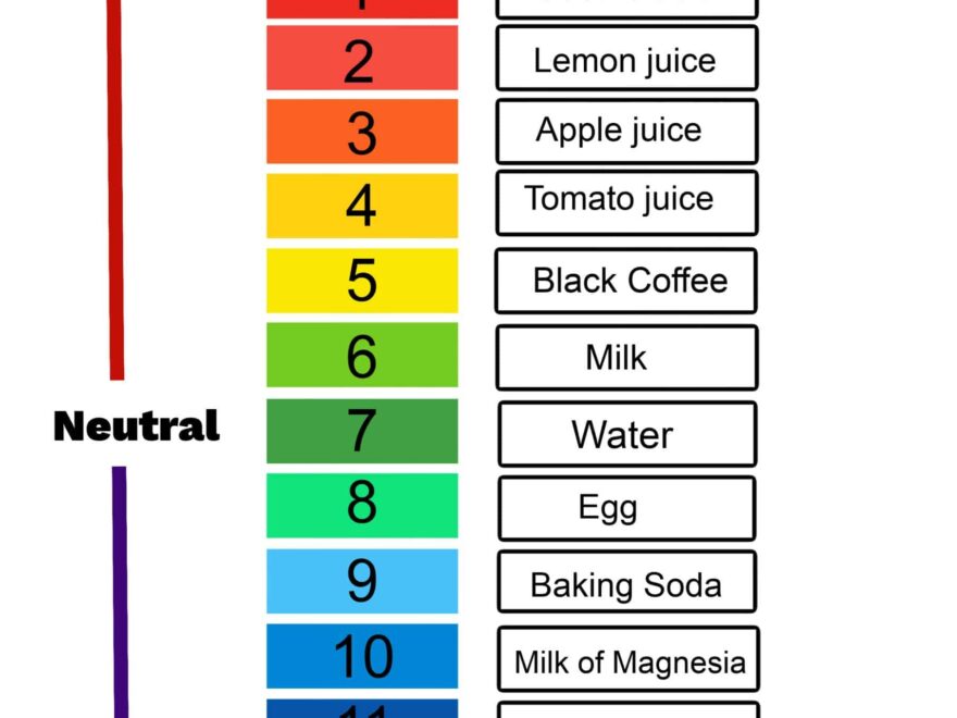 What Is The PH Scale