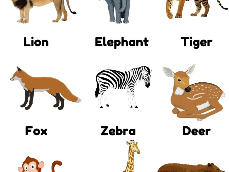 Wild Animals Charts And Worksheets