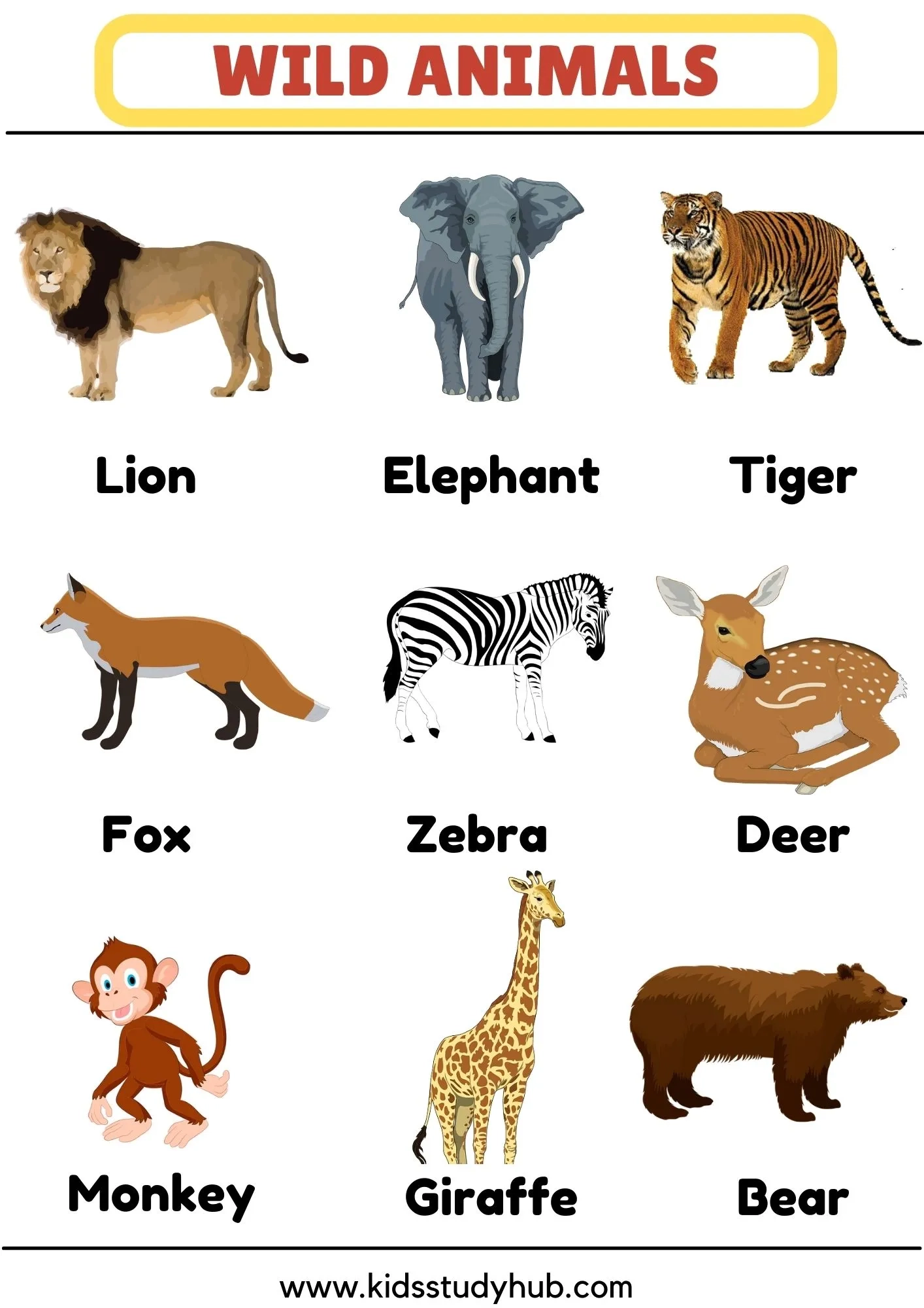 Wild Animals Charts And Worksheets Wild Animals Charts And Worksheets